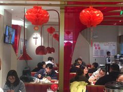 -南枝记