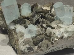 -河南自然博物馆