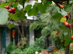 -慢丽江·云南野生菌土鸡锅(西山店)