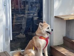 -小意思咖啡店(草桥店)