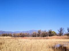-野鸭湖国家湿地公园