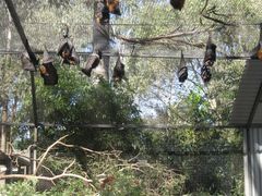 -费瑟代尔野生动物园