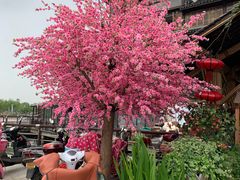 -二十八里太湖船菜(吉祥路店)