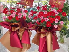 -淘花源花艺鲜花店 开业花篮 绿植(南部商务区店)