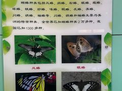 -上海昆虫博物馆