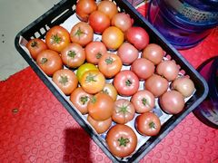 -秋语木桶鱼.酸菜鱼(开发区火车站店)
