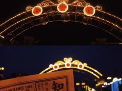 -武汉知音号