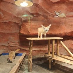 -Zoolung Zoolung动物主题公园(海信广场店)