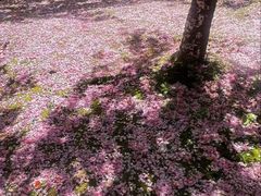 -苏州河梦清园环保主题公园