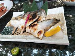 -渔藤(万柳东路店)