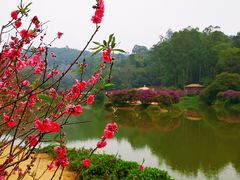 -南国桃园旅游度假区