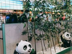 -麻辣空间·清油火锅(万达广场店)
