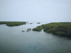 -北海金海湾红树林生态旅游区