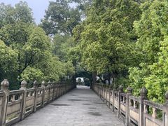 -南山植物园