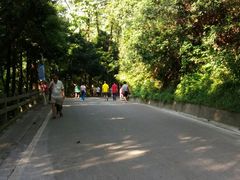 -白云山风景名胜区