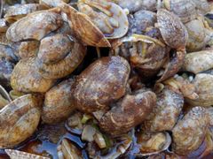 android_upload_pic-天津乾毓德饭庄·清真传统炒菜·海鲜烧烤(咸阳路店)