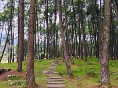 -硗碛藏寨·神木垒景区