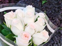 -循礼门鲜花花市(武汉循礼门店)