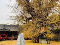 -汉景帝阳陵博物院