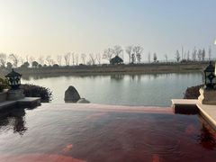-苏州湾·王焰温泉