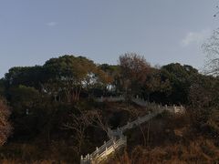 -上海市保健医疗中心