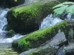 -本溪汤沟绿石谷森林公园