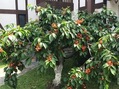 -太阳岛度假酒店