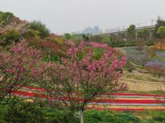 -秀丽东方