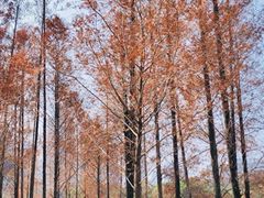 -牛岗山公园