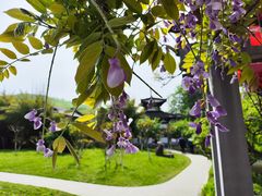 -南山风景名胜区