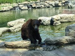 -北京野生动物园