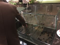 万达嘉华美食汇自助餐-富力万达嘉华酒店-美食汇西餐厅