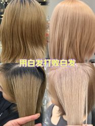 点击看大图 -KS COLOUR漂色·染发·画染
