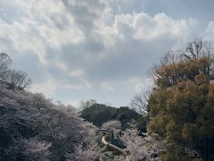 -杭州少年儿童公园
