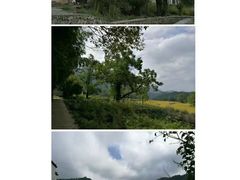 -塔川景区