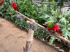 -南宫五洲植物乐园