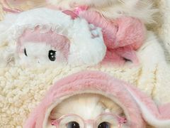 -lincat·猫舍(广州店)