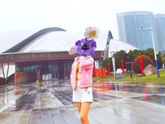 -合肥大剧院