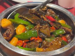 -潇湘甲鱼村(清河店)