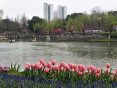 -圩墩遗址公园