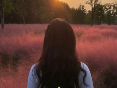 -昆山城市生态森林公园