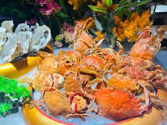 -腾阁自助餐厅(朝林广场店)