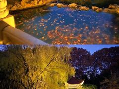 -河南省黄河迎宾馆