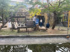 -灵玲国际马戏城
