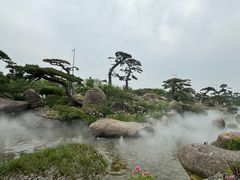 -罗红摄影艺术馆