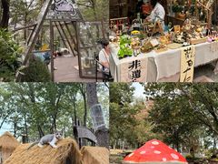 -沂蒙山旅游区云蒙景区(蒙山国家森林公园)