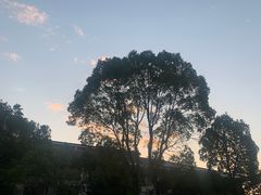 -桃源咖啡厅(武夷山大红袍山庄店)