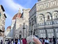 -圣母百花大教堂穹顶