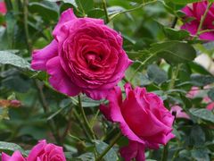 -国家植物园南园