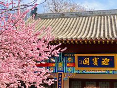 -桃花堤公园